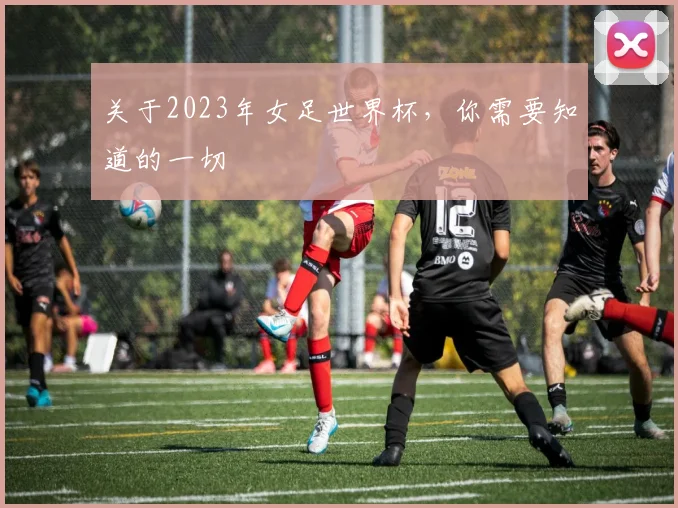 关于2023年女足世界杯，你需要知道的一切