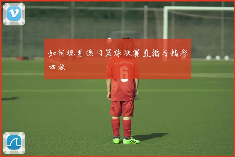 如何观看热门篮球联赛直播与精彩回放