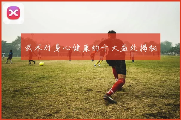 武术对身心健康的十大益处揭秘